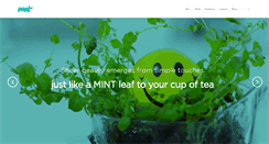 Desktop Screenshot of mintme.biz